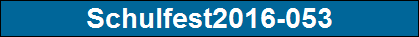 Schulfest2016-053