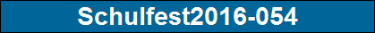 Schulfest2016-054