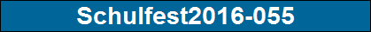 Schulfest2016-055