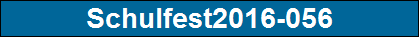 Schulfest2016-056