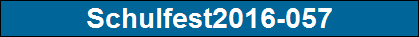Schulfest2016-057