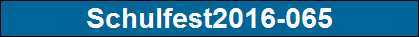 Schulfest2016-065
