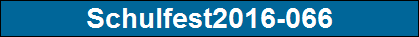 Schulfest2016-066