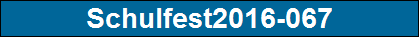 Schulfest2016-067