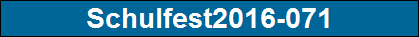 Schulfest2016-071