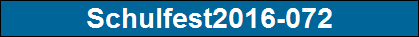 Schulfest2016-072