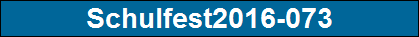 Schulfest2016-073