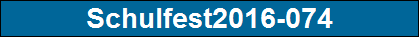 Schulfest2016-074