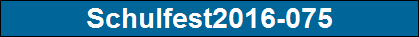 Schulfest2016-075