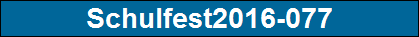 Schulfest2016-077