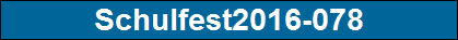 Schulfest2016-078