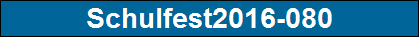 Schulfest2016-080