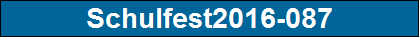Schulfest2016-087