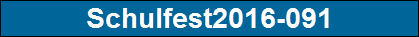 Schulfest2016-091