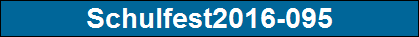Schulfest2016-095