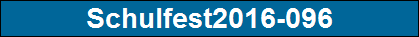 Schulfest2016-096