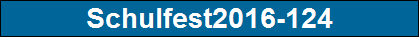 Schulfest2016-124