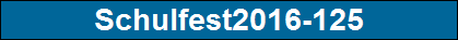 Schulfest2016-125