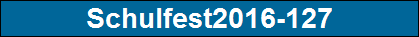Schulfest2016-127