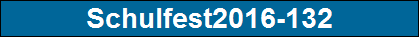 Schulfest2016-132