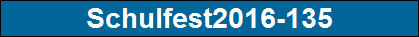 Schulfest2016-135