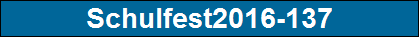 Schulfest2016-137