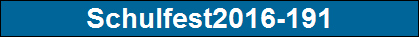 Schulfest2016-191