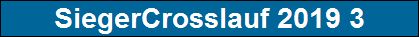 SiegerCrosslauf 2019 3