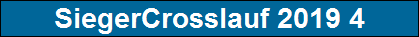 SiegerCrosslauf 2019 4