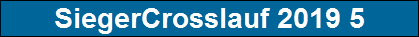 SiegerCrosslauf 2019 5