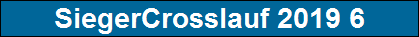 SiegerCrosslauf 2019 6