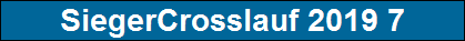 SiegerCrosslauf 2019 7