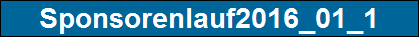 Sponsorenlauf2016_01_1