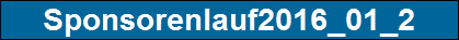 Sponsorenlauf2016_01_2