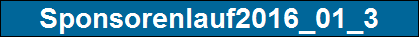Sponsorenlauf2016_01_3