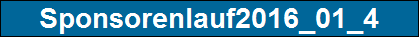 Sponsorenlauf2016_01_4