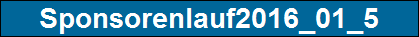 Sponsorenlauf2016_01_5