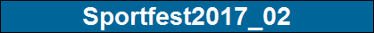 Sportfest2017_02