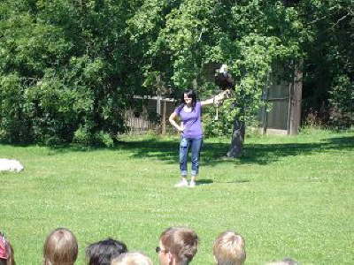 Falkner Kranichfeld11