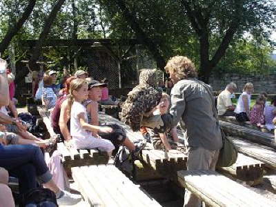 Falkner Kranichfeld12