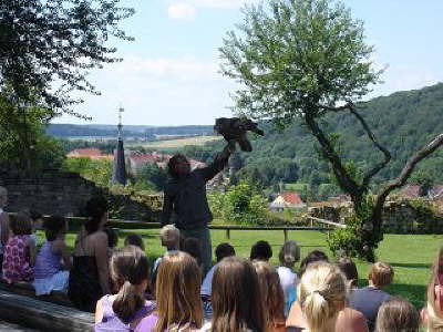 Falkner Kranichfeld13