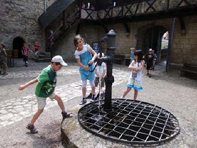 Falkner Kranichfeld3