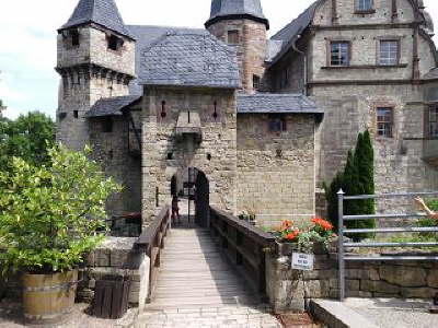 Falkner Kranichfeld5