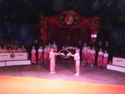 GruppeA33