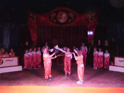 GruppeA37