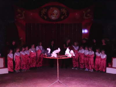 GruppeA40