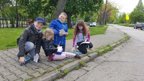 Projekt Wiesenblumen 11