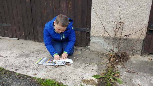 Projekt Wiesenblumen 12