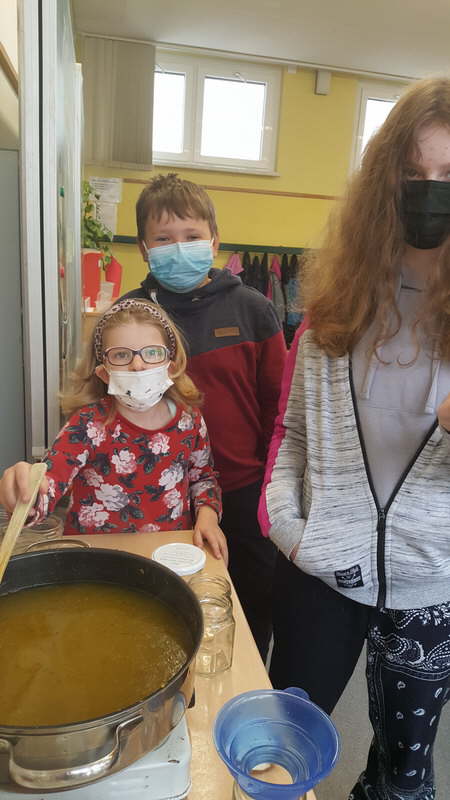 Projekt Wiesenblumen 15