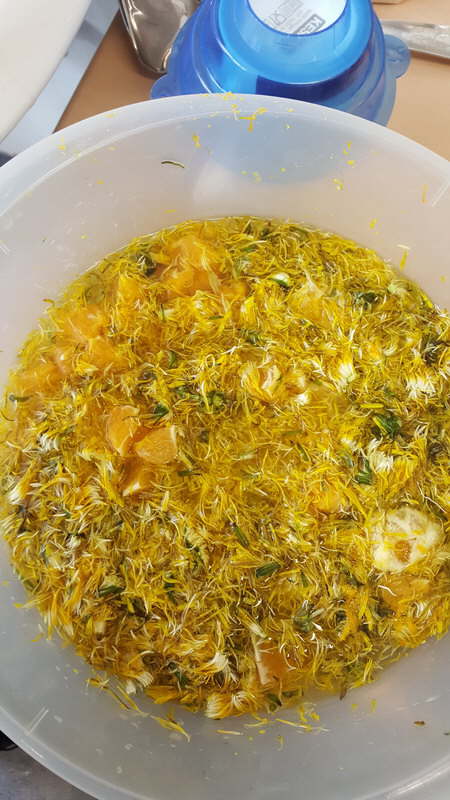 Projekt Wiesenblumen 17